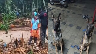 ধ্বংসস্তূপের মধ্যে থেকেই উদ্ধারকাজ চালাচ্ছে মায়া এবং মারফি