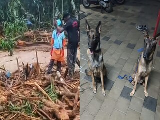 ধ্বংসস্তূপের মধ্যে থেকেই উদ্ধারকাজ চালাচ্ছে মায়া এবং মারফি