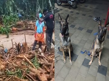 ধ্বংসস্তূপের মধ্যে থেকেই উদ্ধারকাজ চালাচ্ছে মায়া এবং মারফি