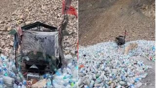 অবাক কাণ্ড! ফুল নয়, বোতল দেওয়া হয় এই মন্দিরে! কেন জানেন? দেখুন চমকপ্রদ ভিডিও অবাক কাণ্ড! ফুল নয়, বোতল দেওয়া হয় এই মন্দিরে! কেন জানেন? দেখুন চমকপ্রদ ভিডিও