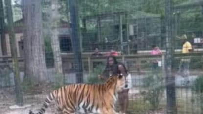 সেই দৃশ্যই ভাইরাল সেই দৃশ্যই ভাইরাল