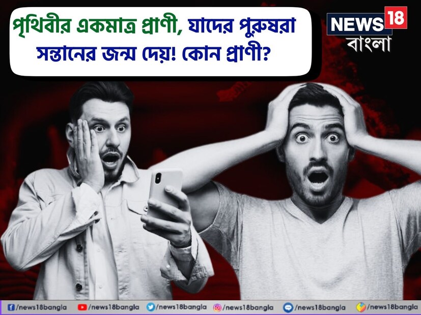 আমাদের সাধারণ অভিজ্ঞতা হলো, সন্তান ধারণ, লালন-পালন এসব মায়েরাই করেন। দীর্ঘ সময় সন্তান পেটে ধারণ করা এবং নির্দিষ্ট সময় পর তীব্র প্রসব বেদনা সহ্য করে সন্তানকে পৃথিবীর আলো দেখান মা। এরপর রক্ত জল করা পরিশ্রম দিয়ে সেই সন্তানকে লালন পালন ও নিরাপত্তা দিয়ে আগলে রাখেন। এই কারণেই বিশ্বের সব সমাজেই মাকে নিয়ে এত মাহাত্ম্যগাঁথা।