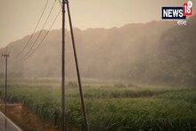 Shanshan-এর আতঙ্কে কাঁপছে জাপান ! দেখুন ভয়াবহ ভিডিও