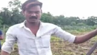 মানুষের হাতে কোবরার কামড়, মৃত্যু সাপের