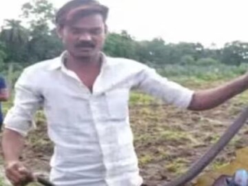 মানুষের হাতে কোবরার কামড়, মৃত্যু সাপের