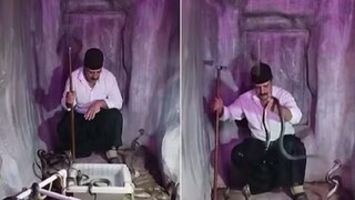 এক ঘর ফণা তোলা সাপ! তার মধ্যেই তালাবন্ধ ব্যক্তি এক ঘর ফণা তোলা সাপ! তার মধ্যেই তালাবন্ধ ব্যক্তি