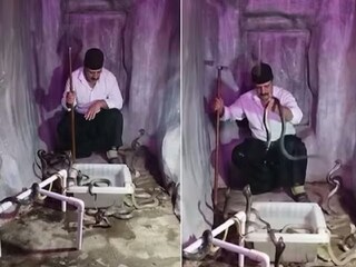 এক ঘর ফণা তোলা সাপ! তার মধ্যেই তালাবন্ধ ব্যক্তি