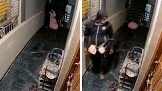 ভিডিওএর একটি দৃশ্য