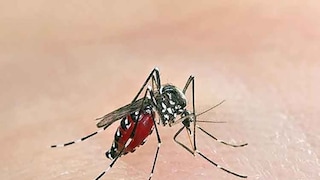 Malaria