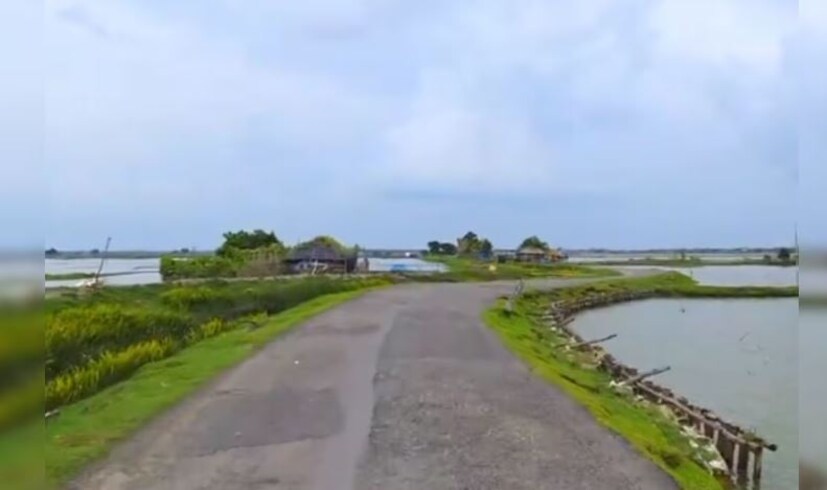 উল্লেখ্য করোনা কালে লকডাউনের সময় বাড়ি থেকে দূরে তেমন কেউ বেড়াতে যাওয়ার সুযোগ পেতেন না। সেসময় শহর বসিরহাট থেকে কিছুটা দূরে আন্দুলপোতার প্রকৃতিক সৌন্দর্য দেখে কেউ সোশ্যাল মিডিয়ায় একটি ভিডিও পোস্ট করেন। প্রাকৃতিক সৌন্দর্যে ভরপুর এই ভিডিও যা মূহুর্তে ভাইরাল হয়ে যায়। তারপর একে একে সকলের গন্তব্যের জায়গা হয়ে ওঠে আন্দুলপোতা। শুধুমাত্র বসিরহাট নয় বসিরহাট পেরিয়ে রাজ্যের বিভিন্ন জেলা থেকে অনেকেই সময় কাটাতে আসেন।