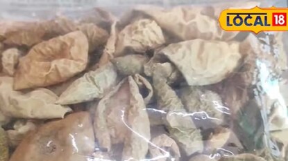 বহু রোগের মহৌষধ ! টাটাকা এই সবজি কড়া রোদে শুকিয়ে নিলেই বদলে যায় এর নাম বহু রোগের মহৌষধ ! টাটাকা এই সবজি কড়া রোদে শুকিয়ে নিলেই বদলে যায় এর নাম