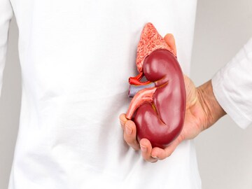 ক্রিয়েটিনিন বাড়া মানেই কিডনি অকেজো হচ্ছে, কোন খাবার খাবেন? কোন খাবার ছোঁবেন না?