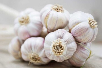 চিনা রসুন এসেছে বাজারে! বিষের সমান, চিনবেন কী করে? সহজ উপায় জেনে নিন