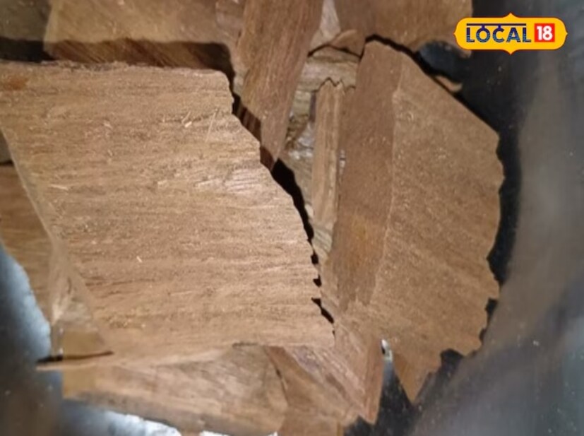 এটি একটি অলৌকিক আয়ুর্বেদিক ওষুধ। যা ব্যবহার করলে কয়েক ডজন রোগ থেকে দ্রুত মুক্তি পাওয়া সম্ভব। বিজয়সার ডায়াবেটিস রোগীদের দ্রুত আরাম দেয় এবং চুলের সমস্যাও দূর করে। আসলে পেটের সমস্যা তথা স্বাস্থ্য সংক্রান্ত সমস্ত সমস্যা দ্রুত নিরাময়ে কাজ করে এটি। 