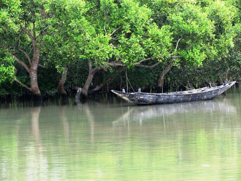 ভ্রমণপিপাসুদের অল্প খরচে তৃপ্তি মেটানোর মুখ্য একটি জায়গা হয়ে উঠেছে এই আন্দুলপোতা। উত্তর চব্বিশ পরগণা জেলার বসিরহাট মহকুমার অন্তর্গত প্রায় তিনশো বিঘা জলাধার নিয়ে অবস্থিত সুন্দর শান্ত একটি গ্রাম এই আন্দুলপোতা।