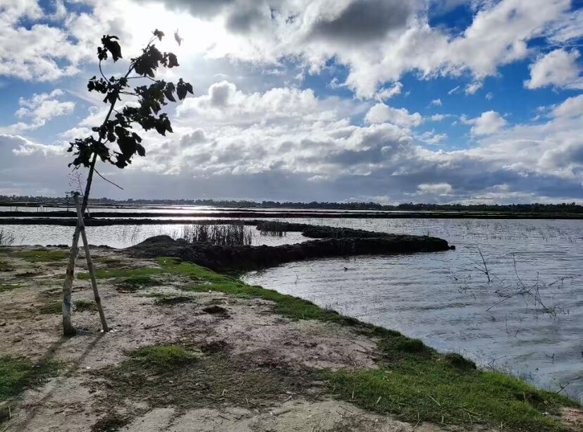 দু'পাশে জল বেষ্টিত জায়গায় মাছ চাষ আর মাঝখান দিয়ে বয়ে গেছে আঁকাবাঁকা রাস্তা। মাথার উপরে ভাঙাচোরা মেঘ নিচে জলরাশির মাঝখান দিয়ে আঁকাবাঁকা রাস্তা আর নিরিবিলি মনোরম পরিবেশে যা অপরূপ সৌন্দর্য্য। হ্যাঁ ঠিকই বুঝেছেন এই আন্দুলপোতায় ইতিমধ্যে রাজ্যের বিভিন্ন প্রান্ত থেকে অনেকেই বেড়াতে যান।