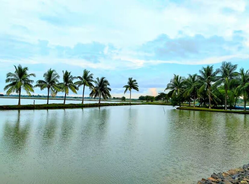 তবে দুর্গাপুজোয় এবার একদিনের ভ্রমণে অন্যতম মাত্র এনে দিতে পারে। সীমান্ত শহর টাকি ঘোরার পাশাপাশি লিস্টে রাখতে পারেন আন্দুলপোতাকে।