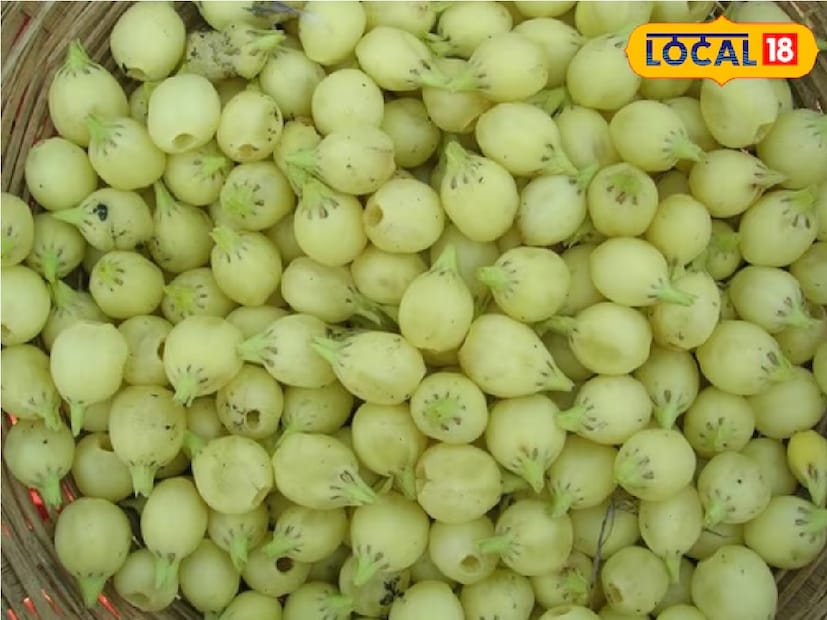 মহুয়া ফলে পাওয়া যায় আরও গুণ৷  অ্যান্টি-মাইক্রোবিয়াল বৈশিষ্ট্য সংক্রমণ থেকে মুক্তি পেতে সাহায্য করে।  এটি পেটের কৃমি নিধনে সহায়ক এবং পেট পরিষ্কারও রাখে।