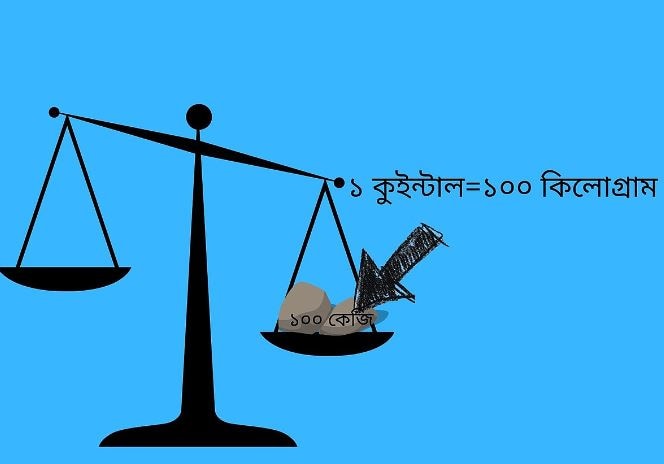 এবার জেনে নিন এক কুইন্টাল মানে কত কেজি? ১০০ কেজিতে হয় এক কুইন্টাল৷ (ছবি-উইকিপিডিয়া)