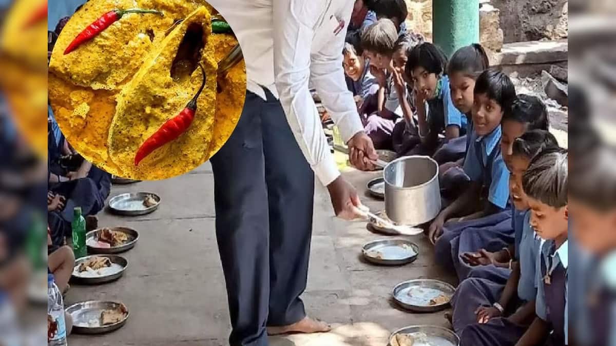 মিড ডে মিলে পাতে ইলিশ ভাজা, ইলিশ ভাপা! .‘শিক্ষক দিবসে’ নজির গড়ল এই স্কুল