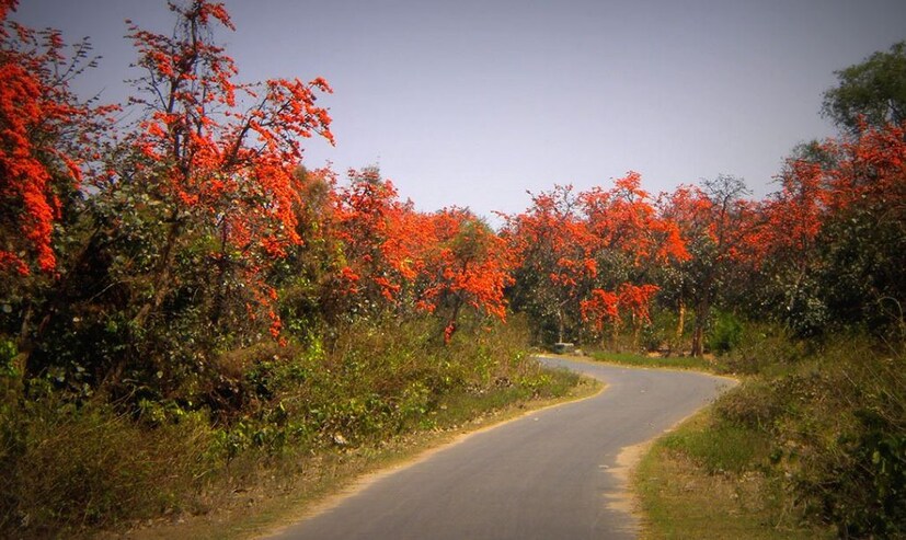 প্রকৃতির অপরূপ রূপের খেলা চলে সুন্দরী অযোধ্যার বুকে। ‌ শীত, গ্রীষ্ম‌, বর্ষা , শরৎ , হেমন্ত এই সমস্ত ঋতুর পরিবর্তনের সঙ্গে সামঞ্জস্য বজায় রেখে সেজে ওঠে অযোধ্যা সুন্দরী। ‌ আর তাইতো এই রূপের টানেই বারে বারে ছুটে আসেন প্রকৃতিপ্রেমী থেকে পর্যটন প্রেমী মানুষেরা। কারণ পশ্চিমবঙ্গের বুকে প্রকৃতি এই রূপের পরিবর্তন অযোধ্যা পাহাড়ে দেখতে পাওয়া যায়। এই দক্ষিণবঙ্গের অযোধ্যা পাহাড় কোন অংশেই উত্তরবঙ্গের দার্জিলিং এর তুলনায় কম নয়‌ বলে মনে করেন পুরুলিয়াবাসী।