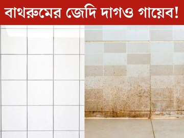বাথরুমের হলুদ দাগ? এইভাবে পরিষ্কার করলেই নিমেষে ঝকঝকে হবে নোংরা বাথরুম