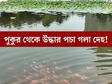 স্বামী-স্ত্রী দু'জনেই মাদক ব‍্যবসায়ী, পুকুর থেকে উদ্ধার স্বামীর পচা গলা দেহ! খুন? স্ত্রীর অভিযোগ মারাত্মক
