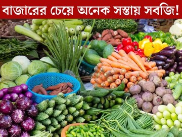 বাজারের চেয়ে অনেক সস্তায় সবজি! ‘সুফল বাংলা স্টল’ শুরু গড়িয়াহাটে, জ‍্যোতি আলু থেকে পেঁয়াজ-রসুন, দাম জানলে চমকে যাবেন