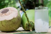 শুধুই গুণের ভাণ্ডার নয়, ডাবের জল হতে পারে ক্ষতিকরও! কারা সাবধান হবেন, জানুন