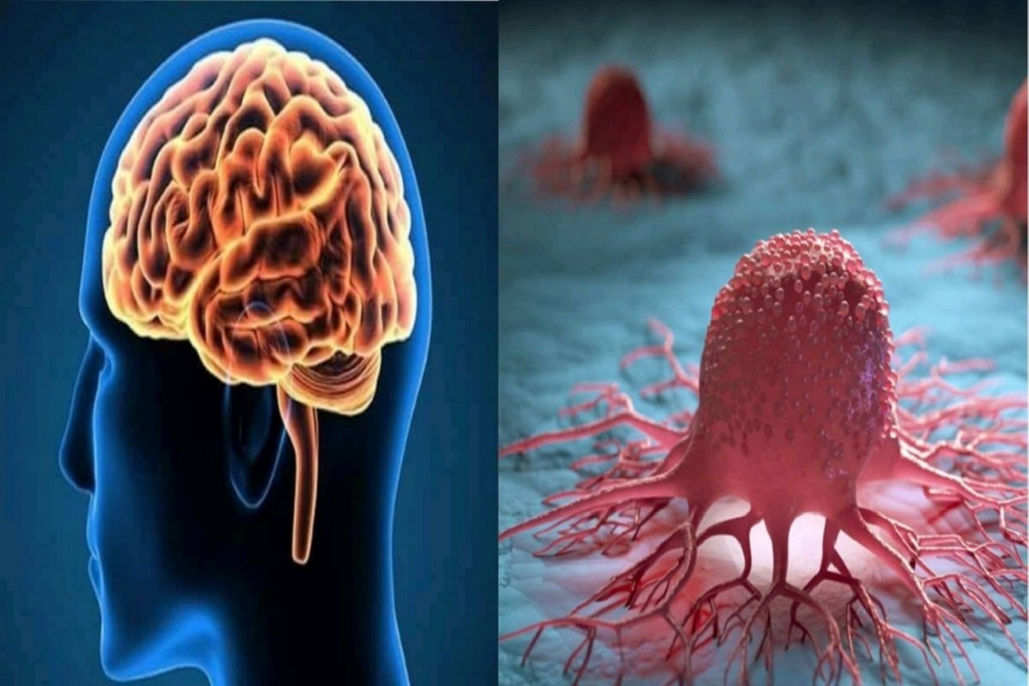 স্টিল-কাচ নয়, নিয়মিত এভাবে জলপানে দ্বিগুন উপকার! কমে ক্যানসার, সেরিব্রালের ঝুঁকি