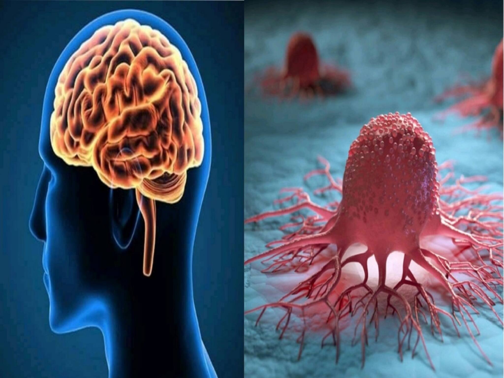 স্টিল-কাচ নয়, নিয়মিত এভাবে জলপানে দ্বিগুন উপকার! কমে ক্যানসার, সেরিব্রালের ঝুঁকি