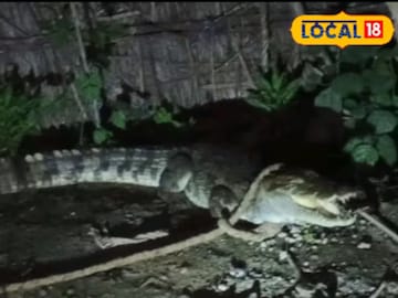 কুঁড়ে ঘরে ওত পেতে বসেছিল ভয়ঙ্কর প্রাণী! আর একটু হলেই ঘটে যেত পারত বিশাল অঘটন