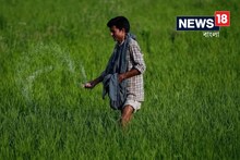 জমিতে আসল DAP-টাই দিচ্ছেন তো! সার আসল না নকল চিনবেন কী করে? এখনই জানুন
