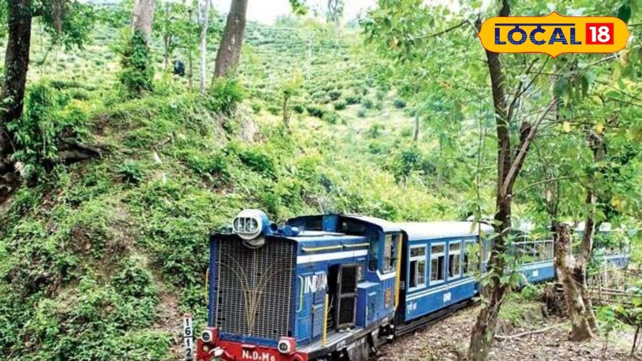 পুজোয় দার্জিলিং উঠুন টয়ট্রেনে চড়ে, কত টাকায় টিকিট বুকিং শুরু? জানুন বিস্তারিত