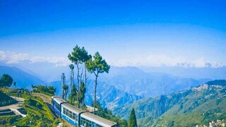 কে এই 'বেবি সেবক'?