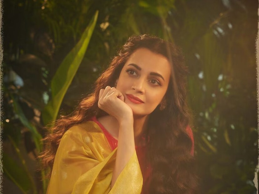 ডেবিউ ছবিই বড় হিট হলেও কেরিয়ারে সেভাবে প্রতিষ্ঠা পাননি দিয়া মির্জা। অনেক ভাল চরিত্র তাঁর হাতছাড়া হয়ে যায় সৌন্দর্যের জন‍্য। 