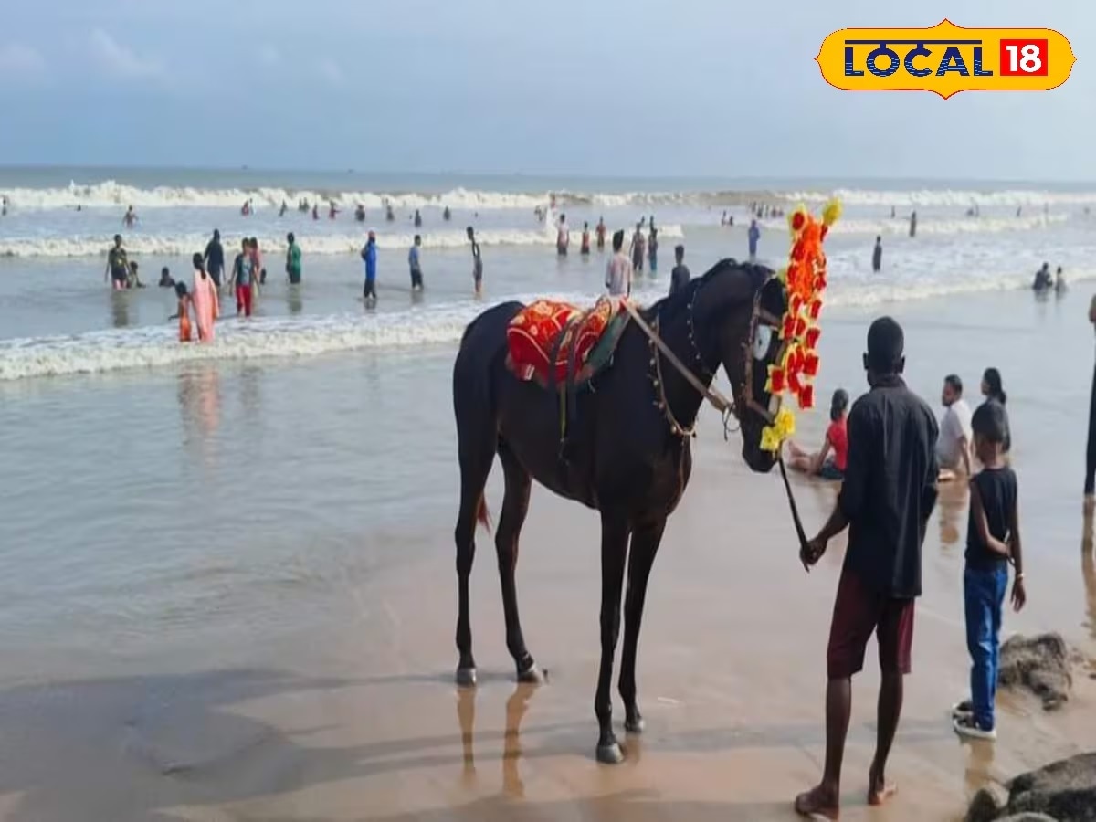 দিঘা সহ পূর্ব মেদিনীপুর জেলায় শুক্রবার বিক্ষিপ্তভাবে বজ্র-বিদ্যুৎ-সহ বৃষ্টি হয়েছে। দিঘা সহ পূর্ব মেদিনীপুর জেলায় শনিবারও বৃষ্টির পূর্বাভাস রয়েছে। এদিন দিঘা সহ জেলার আবহাওয়া থাকবে সর্বোচ্চ তাপমাত্রা ৩৭.৩ ডিগ্রি সেলসিয়াস এবং সর্বনিম্ন তাপমাত্রা থাকবে ২৬.৬ ডিগ্রি সেলসিয়াস।