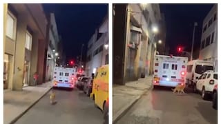 অ্যাম্বুল্যাান্সের পিছনে ছুটছে পোষা সারমেয়৷ অ্যাম্বুল্যাান্সের পিছনে ছুটছে পোষা সারমেয়৷