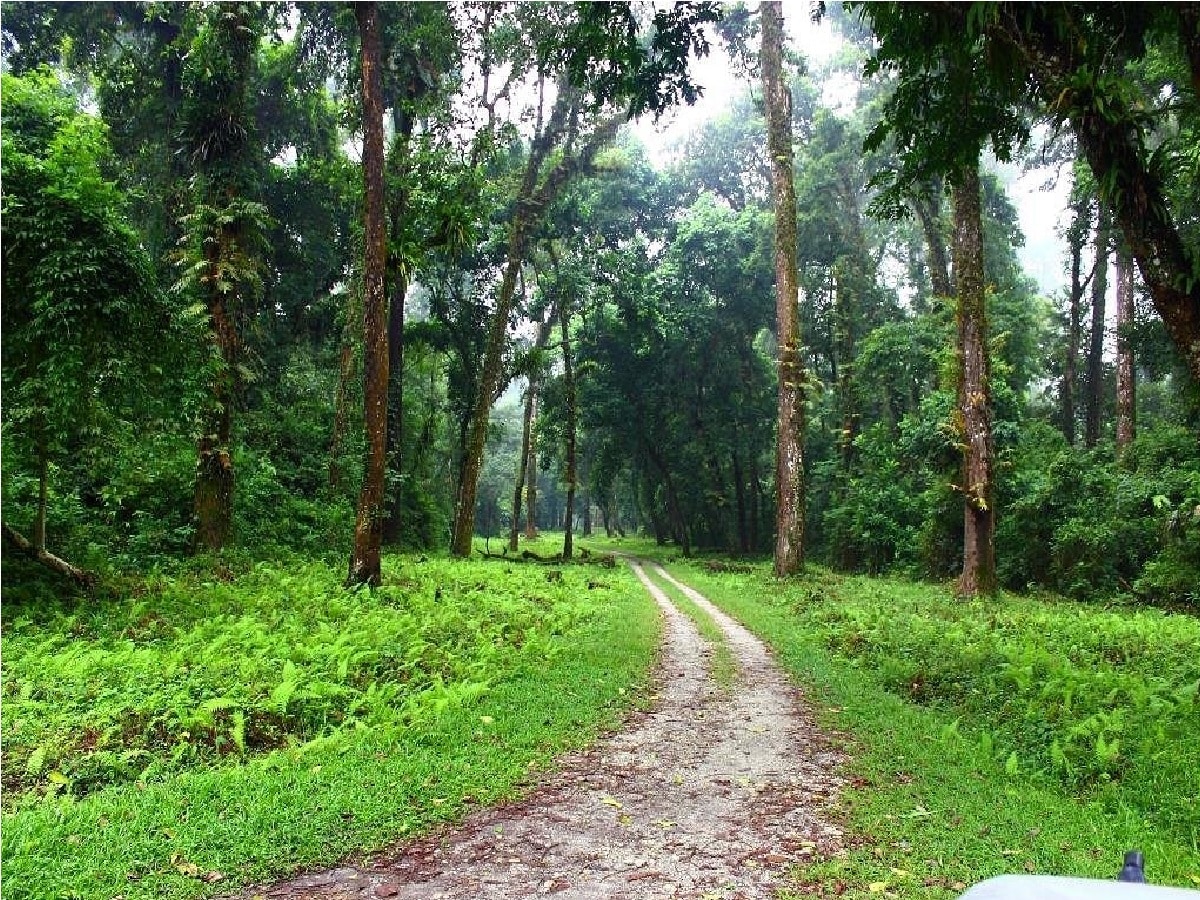 *পুজোর আর বাকি ক'টা দিন। পুজোর ছুটিতে ঘুরতে যাওয়ার প্ল্যানিং প্রোগ্রাম এখন থেকেই শুরু করে দিয়েছেন ভ্রমণপ্রেমীরা। ডুয়ার্স আসার প্ল্যান থাকলে অত্যন্ত স্বল্প খরচে থাকা খাওয়ার সুযোগ দিচ্ছে জলপাইগুড়ির অন্তর্গত চালসা যুব আবাসন কেন্দ্র। সংগৃহীত ছবি। 