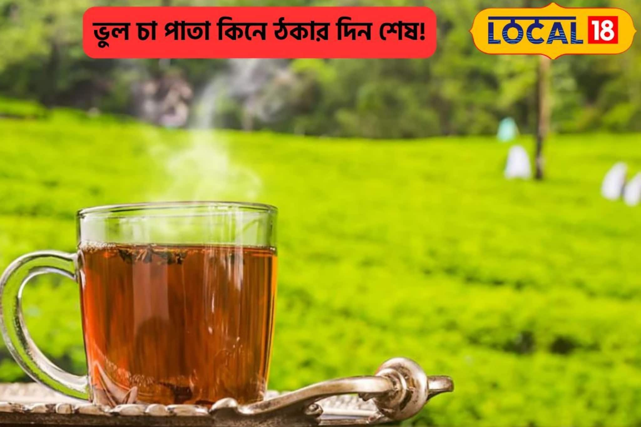 দামেই বিচার হবে না, ভুল চা পাতা কিনে ঠকার দিন শেষ! বেছে নিন এভাবে, রইল হদিশ