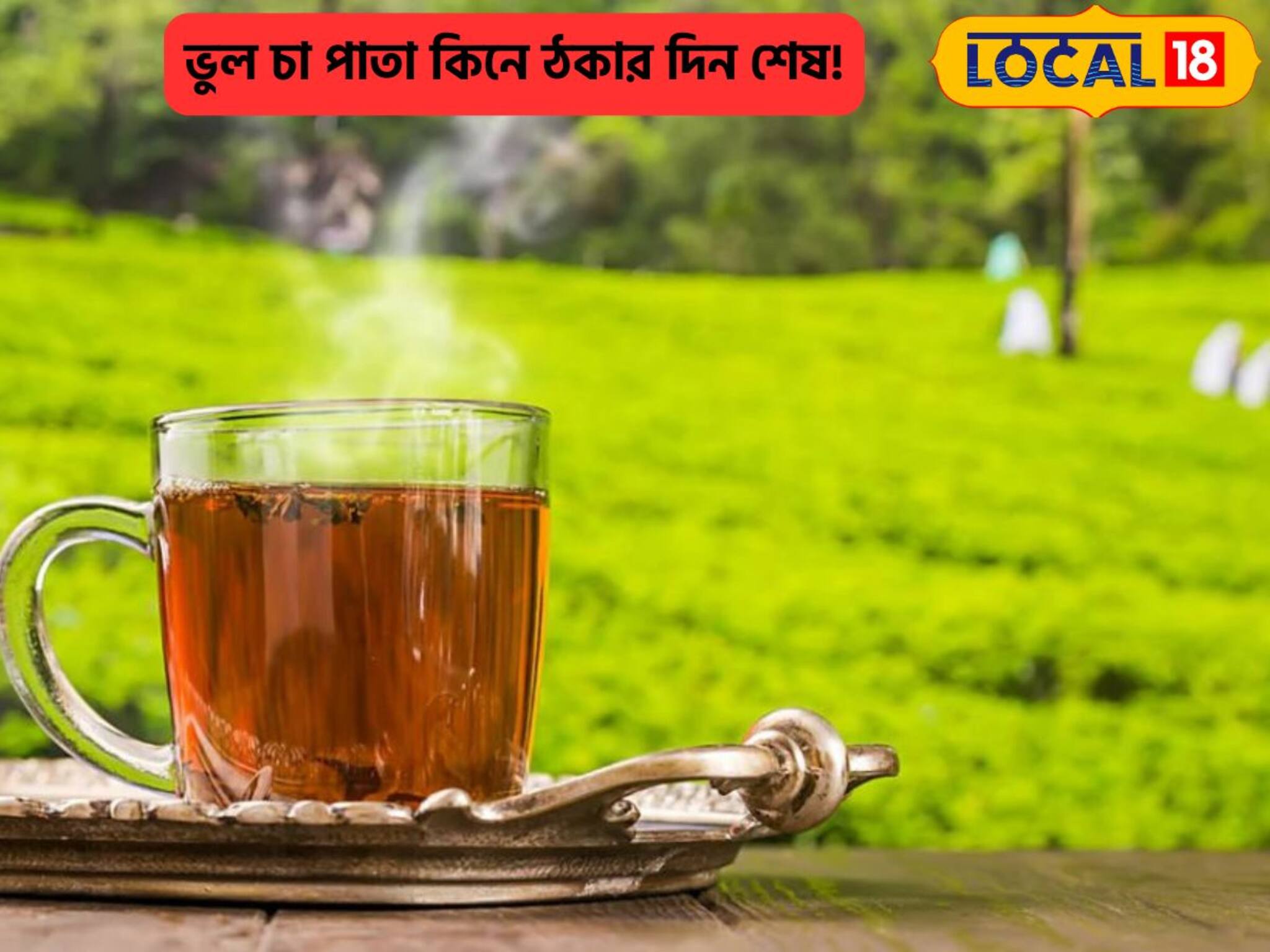 দামেই বিচার হবে না, ভুল চা পাতা কিনে ঠকার দিন শেষ! বেছে নিন এভাবে, রইল হদিশ