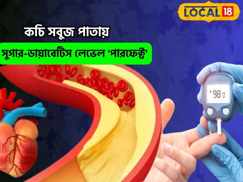 সুগার-কোলেস্টেরল থাকবে পারফেক্ট৷ অর্থাৎ হার্টের সুস্থতা থাকবে, সঙ্গে রক্তে শর্করার মাত্রাও একেবার হাতের মুঠোয়, তাও আবার ঘরোয়া উপায়৷ জেনে নিন কোন পাতায় রয়েছে এই গুণ৷ 