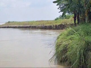 ভয়ঙ্কর বিপদ! পদ্মা গিলে খাচ্ছে, যখন-তখন ঘটে যেতে পারে প্রাণহানি!