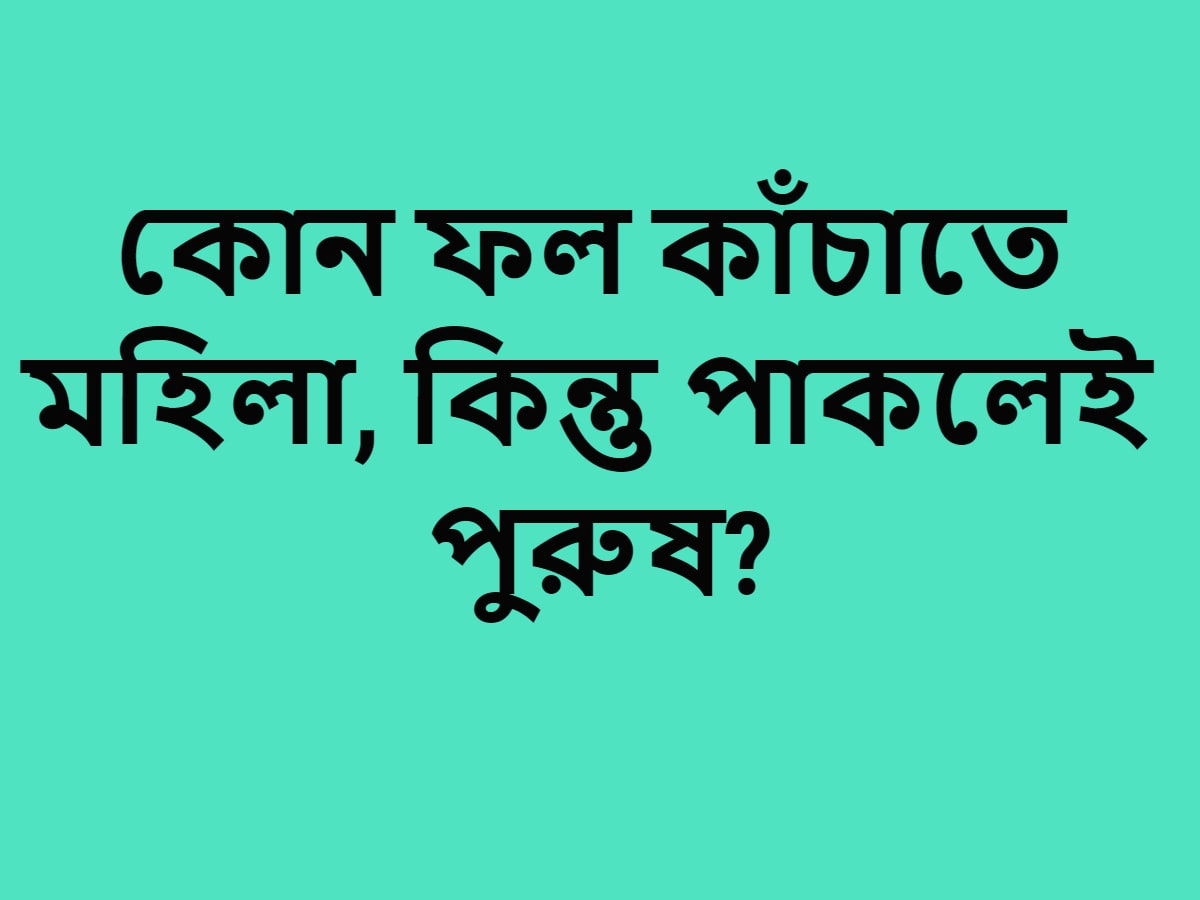 বুলফাইট কোন দেশের আয়োজিত একটি খেলা? বুলফাইট স্পেনের আয়োজিত একটি খেলা ৷ প্রতীকী ছবি ৷