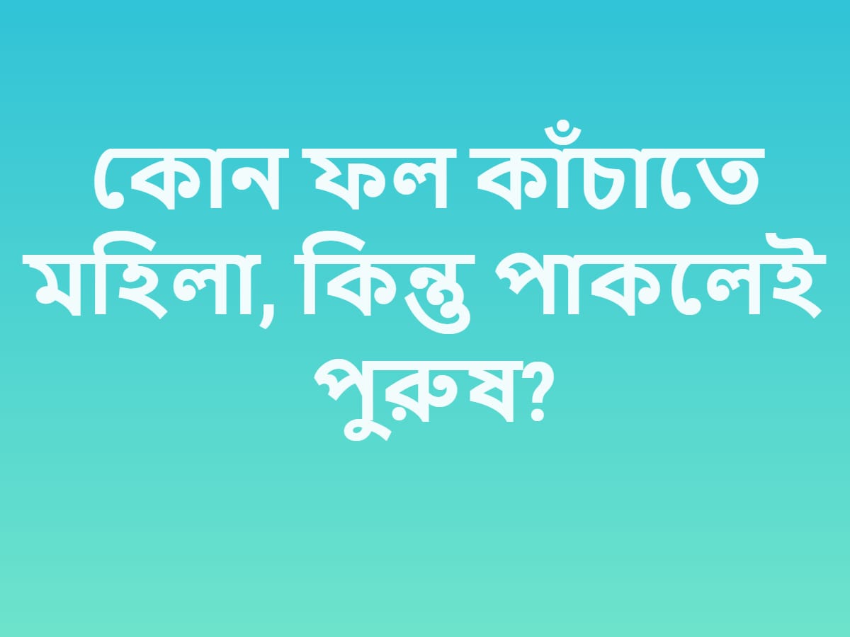 অনেকেরই জানা নেই হাওয়া মহলে ঠিক কতগুলি জানালা আছে? এর সঠিক উত্তর হল হাওয়া মহলে ৯৫৩টি জানালা আছে ৷ প্রতীকী ছবি ৷