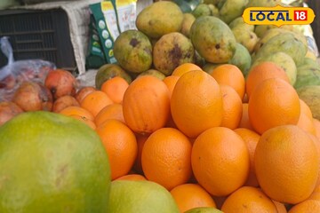 আপনার বাড়ির বাগানে রাখুন এই ৪ গাছ! মিটবে পুষ্টির ঘাটতি, বছরভর ফলে ভেঙে পড়বে ডাল