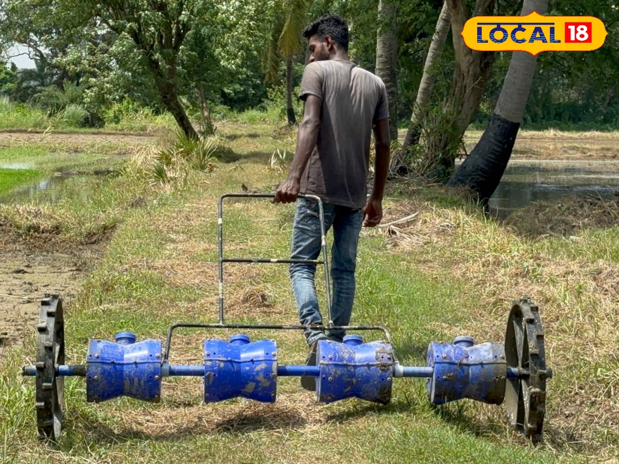 Agriculture News: ড্রাম সিডার পদ্ধতিতে ধানচাষেই বিপুল লাভ, খুশি চাষিরা, আপনিও করতে পারেন, জানুন নিয়ম