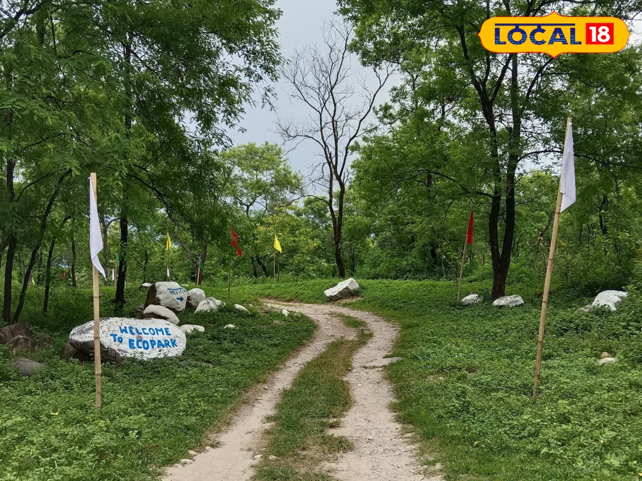 তিরতিরে পাহাড়ি নদীতে ভেজান পা, প্রিয়জনের সঙ্গে হারিয়ে যান প্রকৃতির কোলে