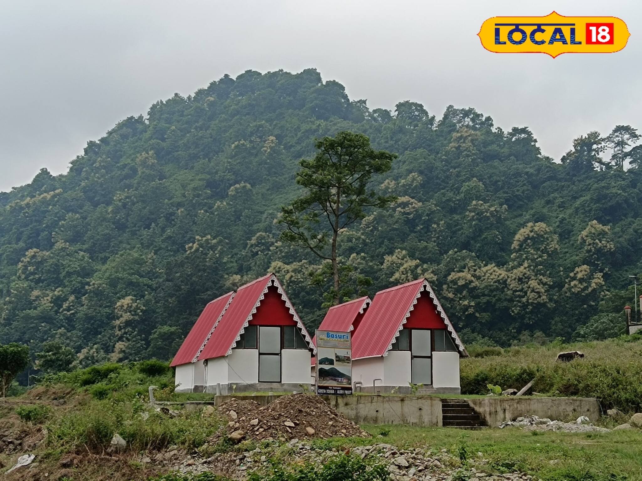 মোমো, থুকপা বাদ দিন! পাহাড়ে গিয়ে 'এই' খাবার না খেলেই বড় মিস! পুরো ‘অমৃত’