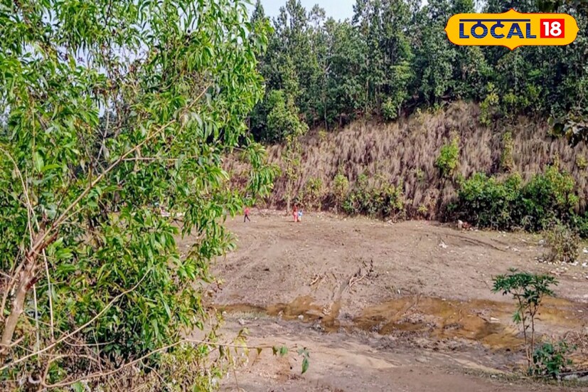 রয়েছে থাকার ব্যবস্থাও। দেখে মনে হবে যেন বাঁকুড়ার স্কটল্যান্ড। পুজোর আগে কাটিয়ে যান দু-তিন দিন।